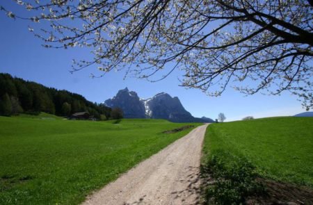 Urlaub auf dem Bauernhof Kastelruth3